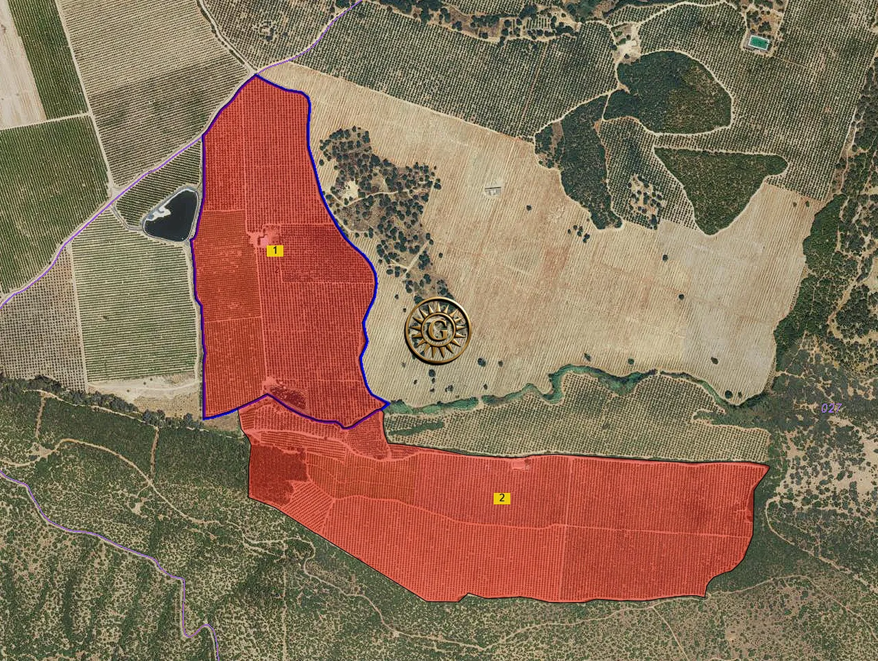 Finca de olivos en Hornachuelos